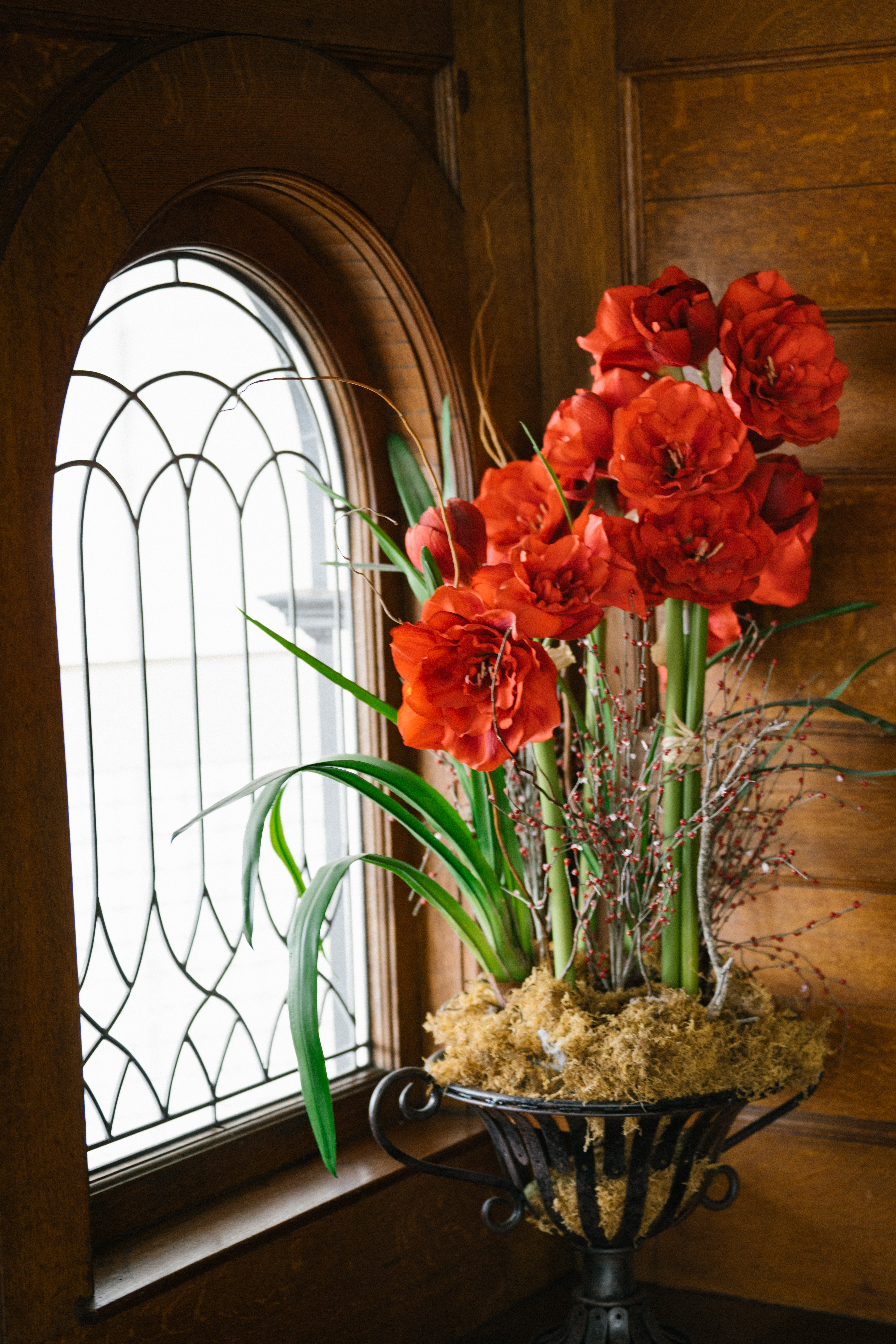 flowers in front of antique window